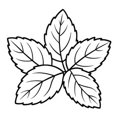 Fototapeta premium Mint Leaves Outline Coloring Book Page Line Art