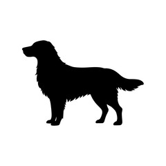 Silhouette illustration of a golden retriever standing in profile on a white background