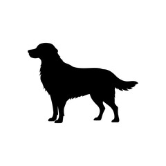 Silhouette of a golden retriever standing calmly with a fluffy tail and fur detail design