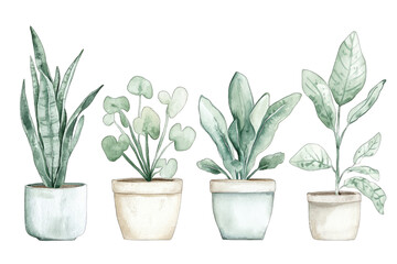 Obraz premium a watercolor illustration showcasing four potted plants each with distinct shapes and shades of green emphasizing a serene and natural aesthetic