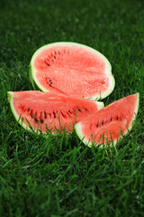 Ripe red watermelon on the grass in summer