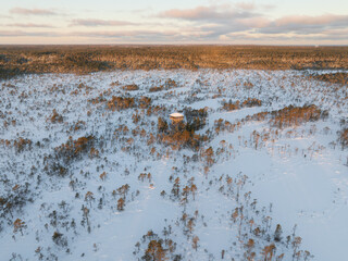 Aerial drone view captures snowy winter bog landscape with pine trees and observation tower at...