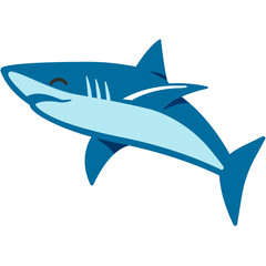 Blue Shark
