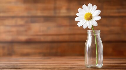 A single white flower in a clear glass vase on a wooden table