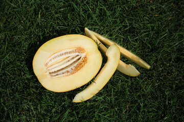 Ripe melon cut into pieces on the grass in summer