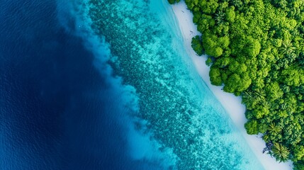 Aerial View of Tropical Island Paradise: Turquoise Waters, White Sand Beach, Lush Green Forest