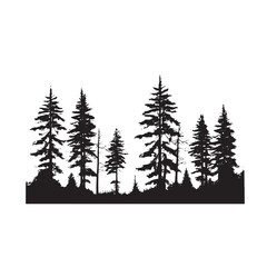 Obraz premium Silhouette of Dense Pine Forest Isolated