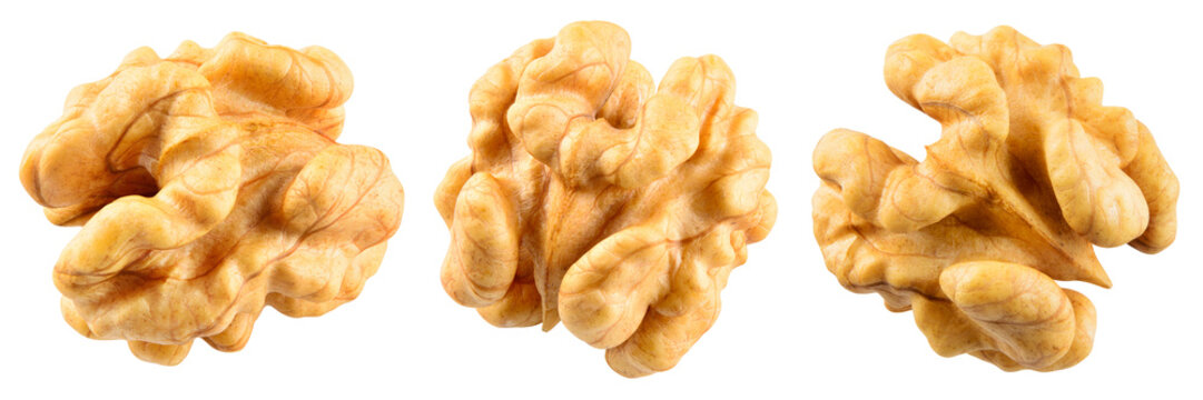 Walnut isolated png. Walnut kernel on transparent background. Perfect retouched peeled broken walnut nut no background. Walnut half top view collection. Full depth of field.