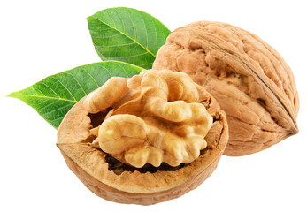 Walnut isolated png. Unpeeled walnut with a half on white or transparent background. Perfect retouched two walnuts with leaf no background. Side view nut. Full depth of field.