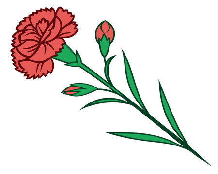 red carnation flower with green stem clip art preview