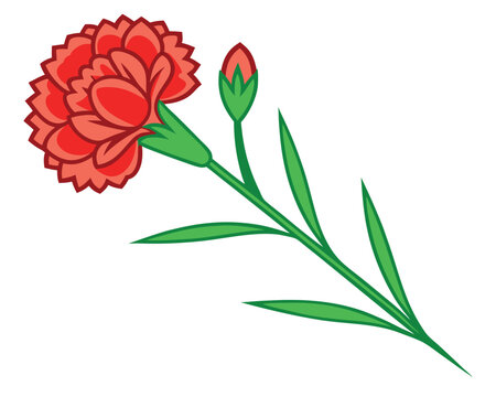 red carnation flower with green stem clip art preview