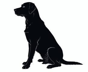 Black Labrador Retriever Silhouette Sitting Alertly