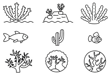 coral reef ecosystem line art delicate marine species habitat