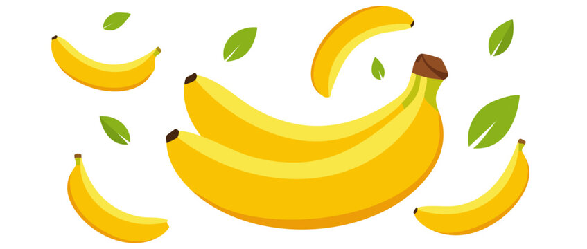 fresh bananas falling vector icon design