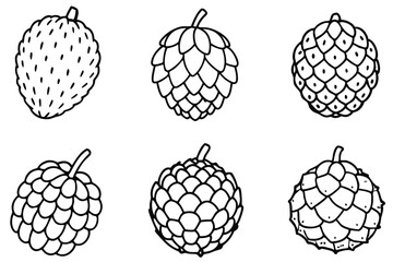 custard apple line art elegant fruit drawing for decoration