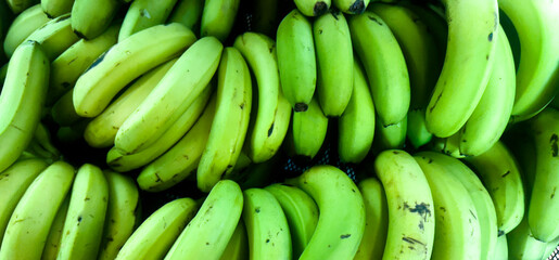 fresh green bananas
