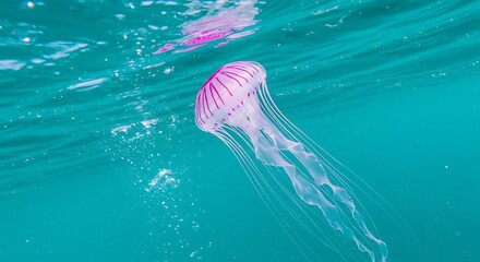 Pink Symphony of the Deep AI Generated