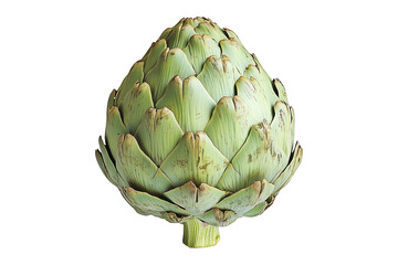 Obraz premium Single fresh green artichoke with detailed texture isolated on white transparent background.