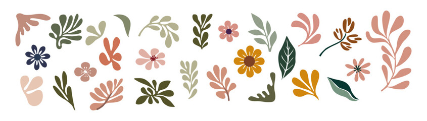 Set of hand drawn floral design elements, abstract shapes. Wild and garden flowers, leaves. Contemporary modern vector botanical art illustrations in trendy colors isolated on transparent background