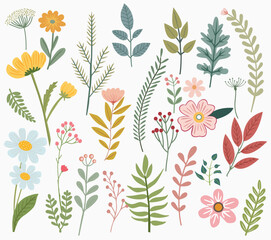 Floral collection of herbs, wildflower, leaf, branch, foliage.