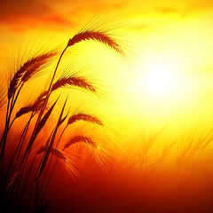 Wheat field sunset; golden hour; agriculture; rural landscape; harvest background; ideal for food packaging