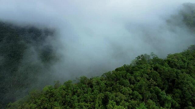 Thick clouds and fog over rainforest ridges near Estrella Waterfall in Narra Palawan with green treetops and hidden mountain valley