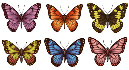Collection of various butterfly species illustrations, featuring Monarchs, Swallowtails, and others in orange, yellow, brown hues on white.