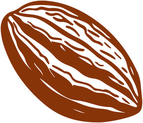 Cocoa Bean illustration