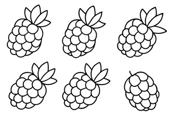 sea berry line art black and white fruit