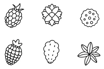 sea berry line art isolated berry plant graphic