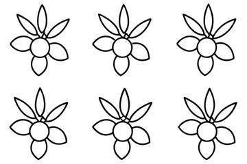 sea buckthorn line art vintage plant illustration style