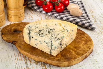 Gourmet blue cheese with mold