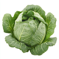 Obraz premium cabbage isolated on white background