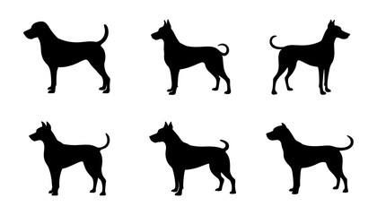 Six black dog silhouettes in various poses standing on a white background isolated view