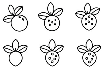 silverberry line art modern floral sketch unique nature illustration artistic touch