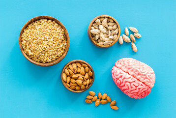 Healthy food for the brain. Human brain model with nuts and grain, top view