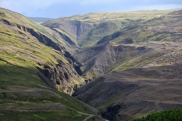 Studlagil basalt canyon in East Iceland © Flavijus Piliponis