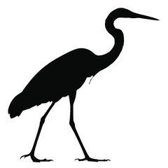 Obraz premium Tall Forest Heron Silhouette – Black Vector of Wading Bird with Long Legs and Beak