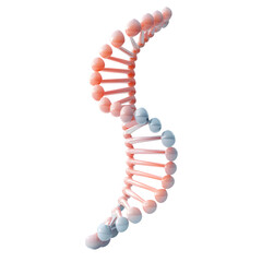 A visual representation of a DNA double helix.