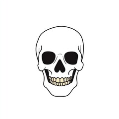 Simple skull graphic.  A stylized illustration of a human skull, front view, in a minimalist design.  The skull is depicted in shades of white and black.  Clean lines and simple shapes