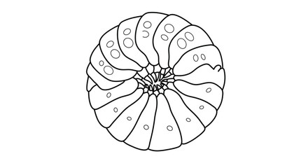 Pill Bug Coloring Page for Kids Showing It Curled Into a Ball Roly Poly