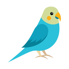 Budgerigar vector icon isolated on white background