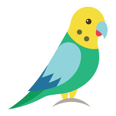 Budgerigar vector icon isolated on white background