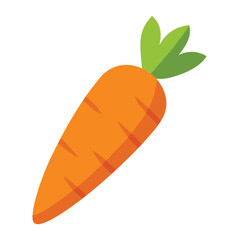 Carrot vector icon isolated on white background