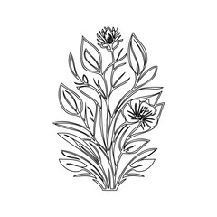 Floral Vector Graphic with Delicate Line Work