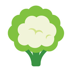 Cauliflower vector icon isolated on white background