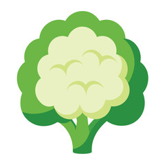 Cauliflower vector icon isolated on white background