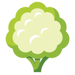 Cauliflower vector icon isolated on white background