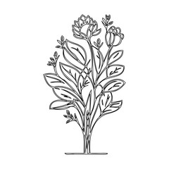 Delicate Blossom Line Art Botanical Illustration