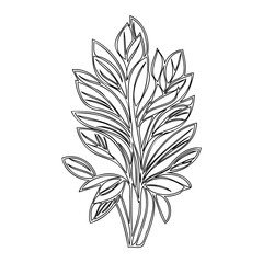 Striking Tropical Plant Outline in Bold Black Lines